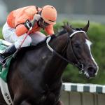 Lost in the Fog: The Courageous Sprinter